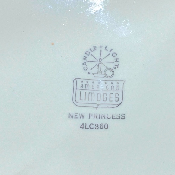 vintage New Princess Candle Light By American Limoges oval serving Plate - Picture 2 of 2